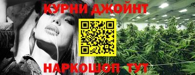 трава Новокубанск