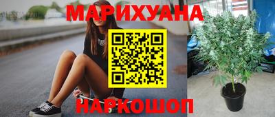 мет Новозыбков
