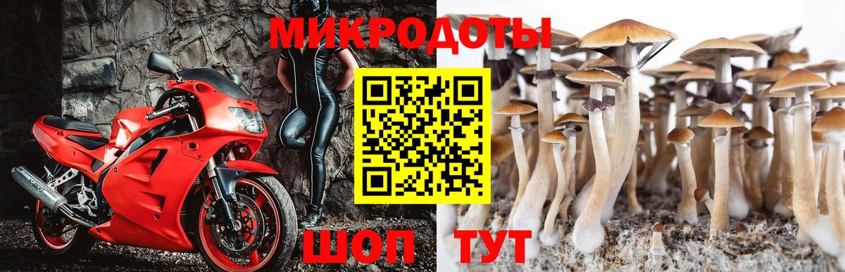 Галлюциногенные грибы мицелий Серпухов